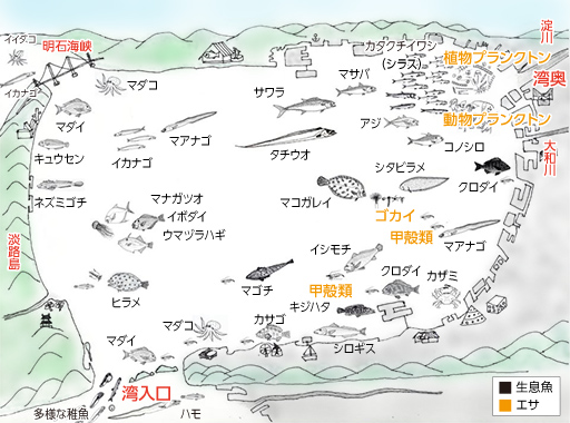 特集 新しい大阪湾づくり われらの 里海 大阪湾の今を知ろう Vol6なぎさ海道 なぎさ海道